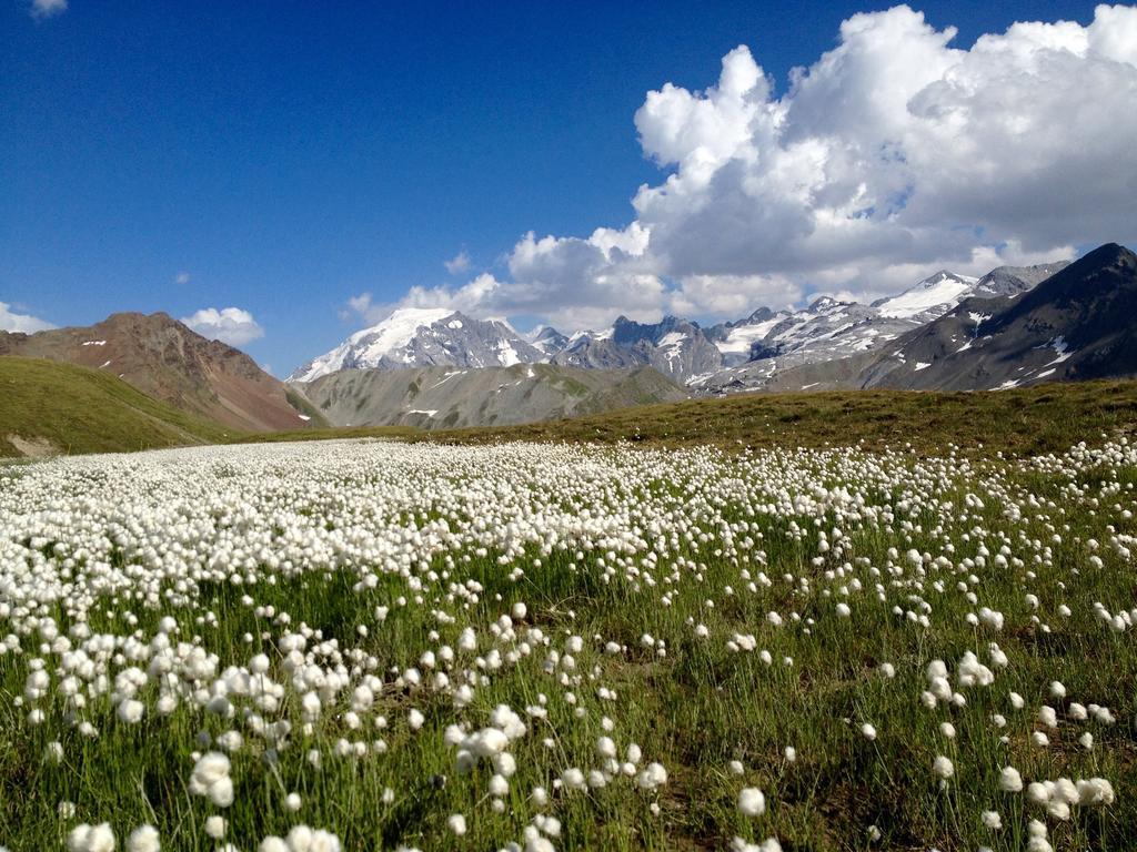 Albergo Quarto Pirovano Passo Stelvio Bagian luar foto